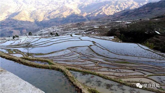 与饮水：各自的魅力AG真人游戏饮茶