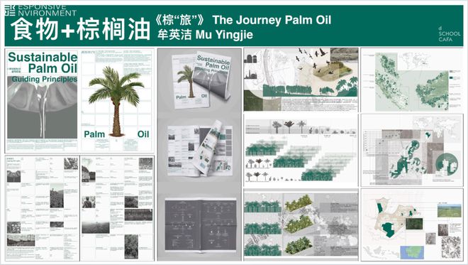 食物边回应气候变化的大学专业AG真人游戏在中国一个边研究(图11)