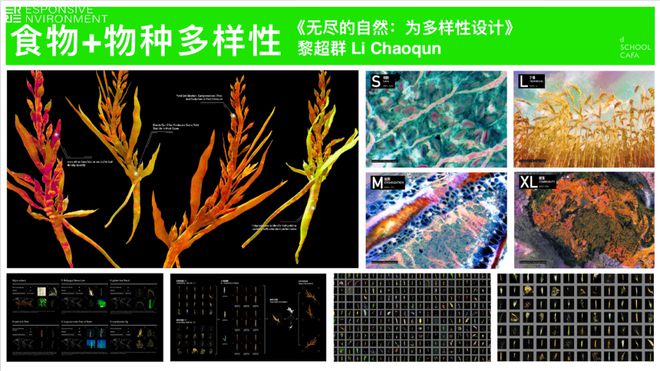 食物边回应气候变化的大学专业AG真人游戏在中国一个边研究(图15)